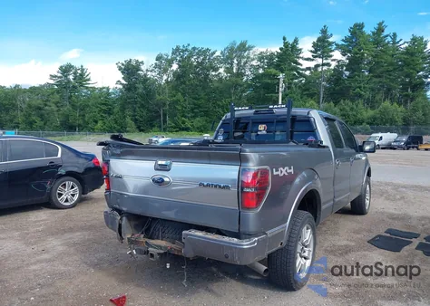 2009 Ford F-150 Fx4/King Ranch/Lariat/Platinum/Xl/Xlt from USA, damaged, VIN 1FTPW14V99FA05331